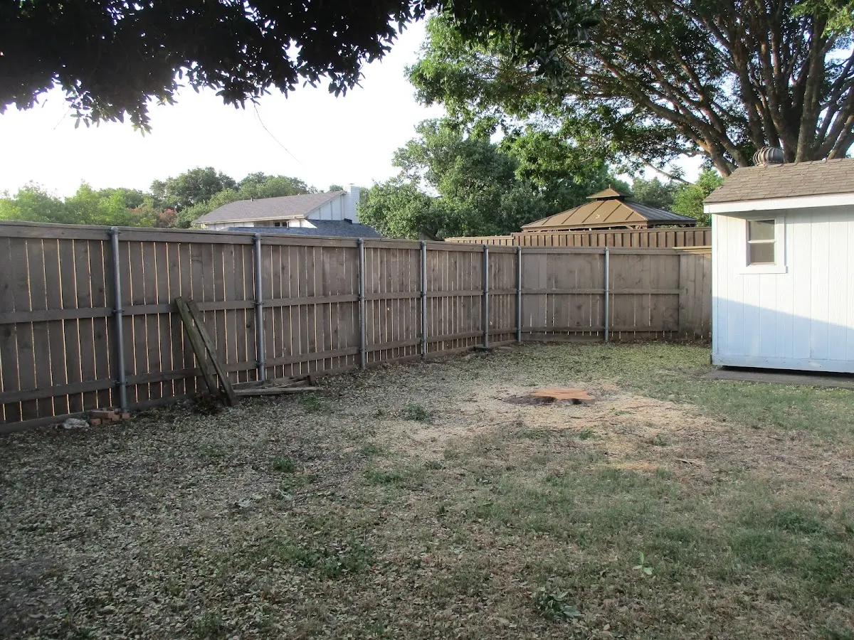 Cleared yard after professional tree removal in Fostoria